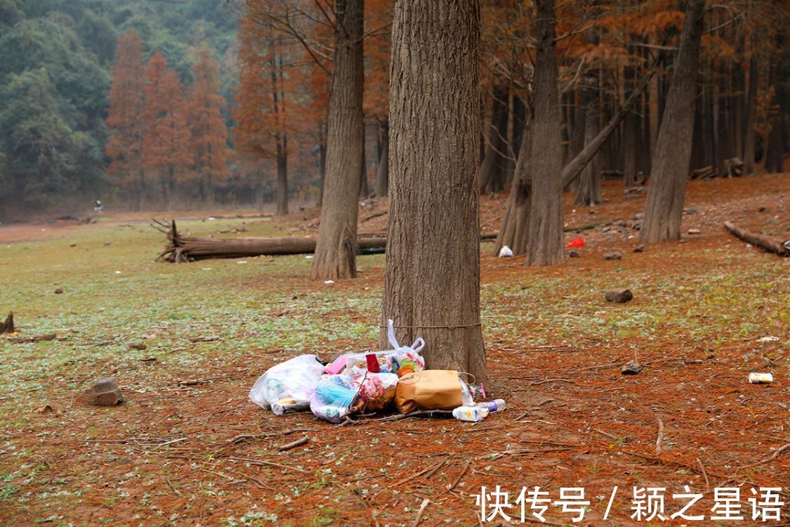 颖之|小众秘境风光,一个个被糟蹋,征集黄金古道有伤风景的照片