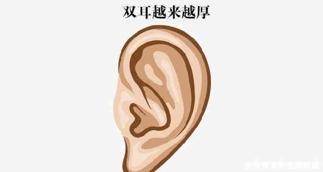 有福|面相上有这三个特征的,越老越有福,越大越有钱