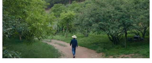 《很高兴认识你2》定档，周迅领衔神仙综艺回归，飞行嘉宾好绝