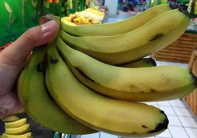 膳食纤维|晚上吃香蕉能减肥?但要牢记这个适宜的时间,体重或悄悄下降