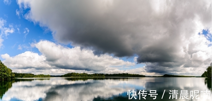 狮子|狮子座爱你?不爱你?