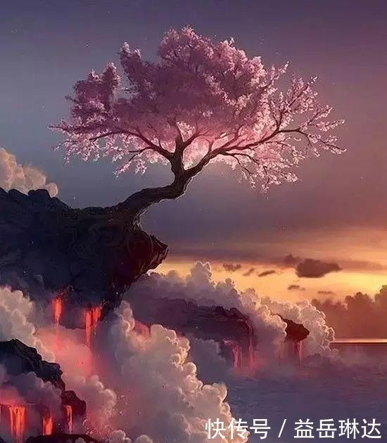 太美了,世界照片今天终于传来,罕见至极,一睹为快