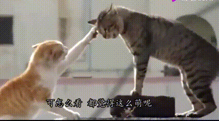 |搞笑GIF：妹子 惊不惊喜 意不意外 下次坐的时候千万要小心