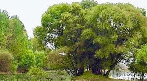 山西一神奇古塔大钟，外观岌岌可危却几十年不倒，与一传说有关