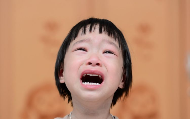 幼儿园|幼儿园“点名册”走红,弥漫着偶像剧男女主气息,网友:烂大街