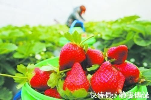 孩子|初三女生没有男友，却“母乳”不断，医生检查后才发现问题出在这