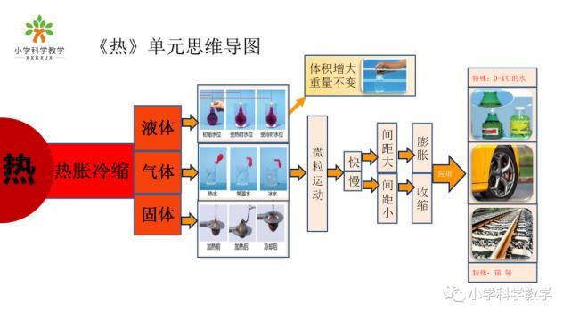 教科版科学五年级下册各单元思维导图