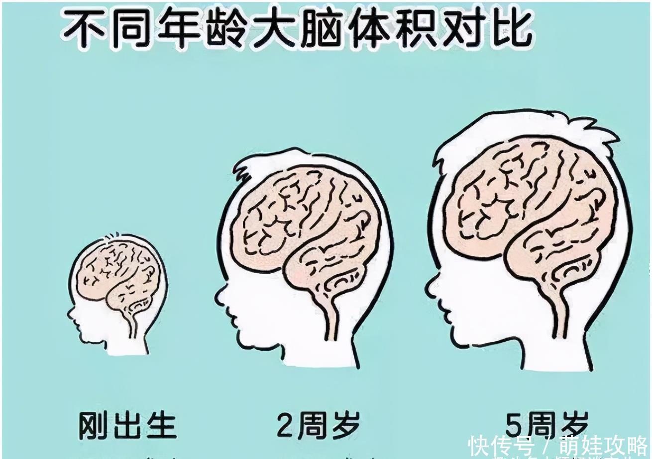 神经突触|哈佛研究:孩子一生3次黄金期,这个阶段要抓牢,抓好了更聪明