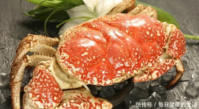  蓝龙虾|4种极品海鲜，味道极致鲜美，价格昂贵吓人，一般人还是看看就好