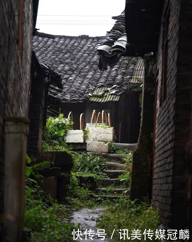 花儿|重庆长寿，春天的景色很迷人吗？