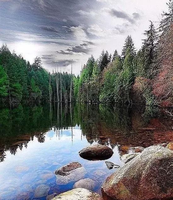 传来|太美了,世界照片今天终于传来,罕见至极,一睹为快