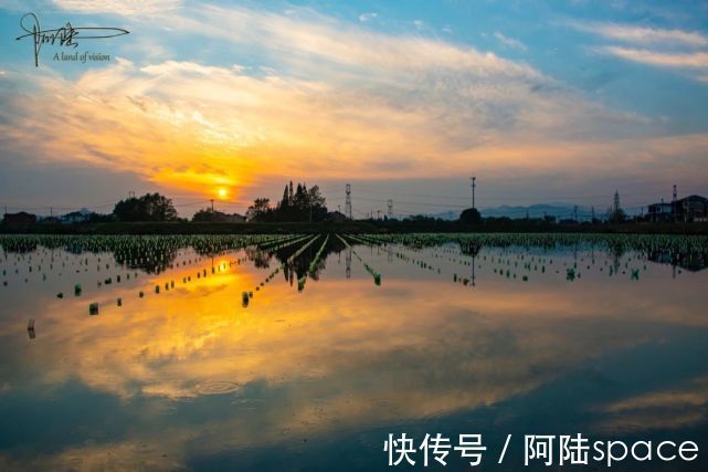 珍珠蚌|余杭的北湖草荡不过如此，还没有它旁边的一口池塘好看