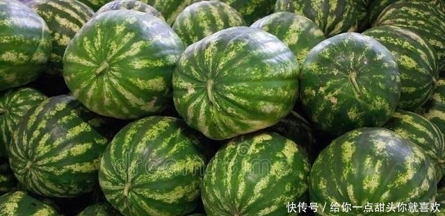 西瓜|挑西瓜时,别再拍来拍去了,教你简单3招,西瓜皮薄汁多还很甜