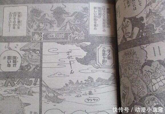 大妈|海贼王962情报:小菊男儿身又实锤,年轻大妈露脸,和女帝谁更美