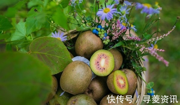 清脂素|想长寿得会吃，三种食物换着吃，美容养颜，抗衰防皱，早知早好