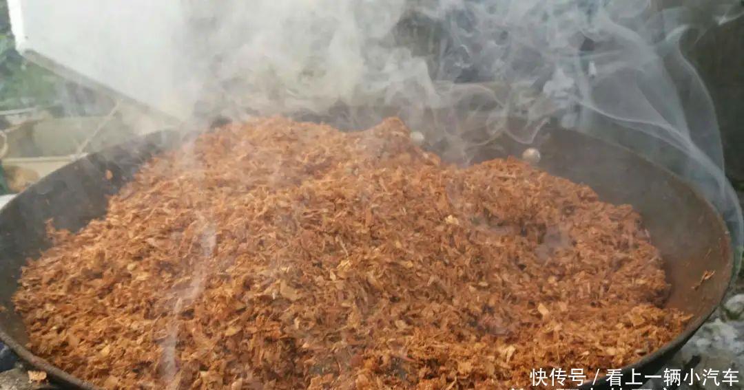 养花技巧:花盆里出现这个,抓紧换盆,不然一浇水就死翘翘