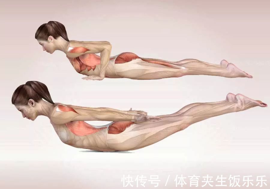 鞋带式|“身体越硬人越老”?!你需要瑜伽拉伸一下……