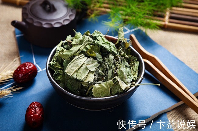 神农本草经|桑叶是个宝,霜打的桑叶为神仙草!如何吃,功效最佳