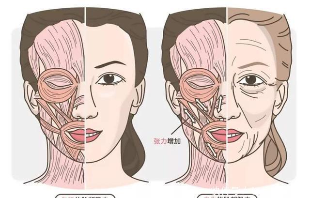 女人|让女人快速“衰老”的活动叫生娃,表面上光鲜亮丽的明星也受不了