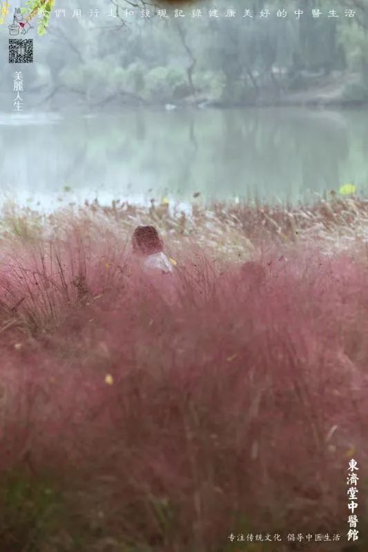 枳实|医圣张仲景唯一减肥方,两味药材泡水喝,每天只需3块钱