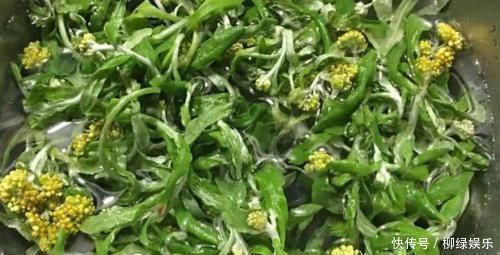 蒲公英|每天晚上坚持吃3种食物,营养丰富、延缓衰老,好吃又不贵!