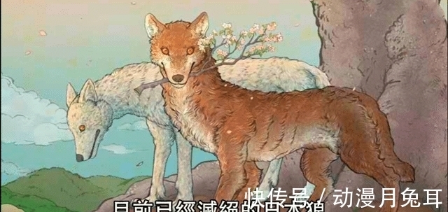 玛利亚|海贼王1020话情报:大和的果实是狼神,罗宾确认山治在船上的地位