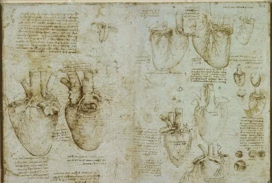 周年|达·芬奇逝世500周年,这些手稿却还鲜为人知