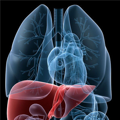 肝是啞巴，胃是喇叭肝好一切都好，養肝就在當下