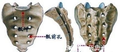 包皮 包皮切除手术，怎么麻醉？