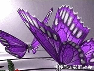 人心!良言20句,见证人心,看透人性看一次胜读十年书