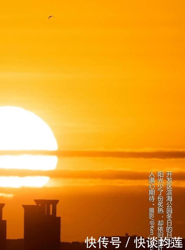 大连|大雪,大连,大生机