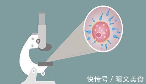 宝宝|别等宝宝有问题了再后悔,如何科学备孕,男女都了解下