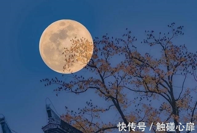 鸦鹊$王建中秋夜写下一诗,成为流传千古的经典之作,整个唐代少有人及