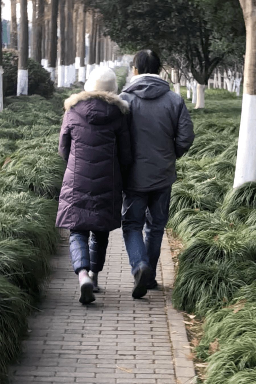 父母亲|杭州公园里这对神奇“情侣”，13年了天天准时出现