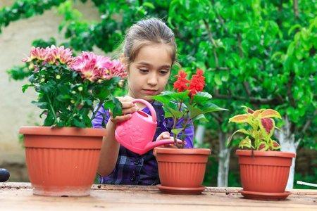 用的“养花口诀”,学会了你也能养好花,收藏了!