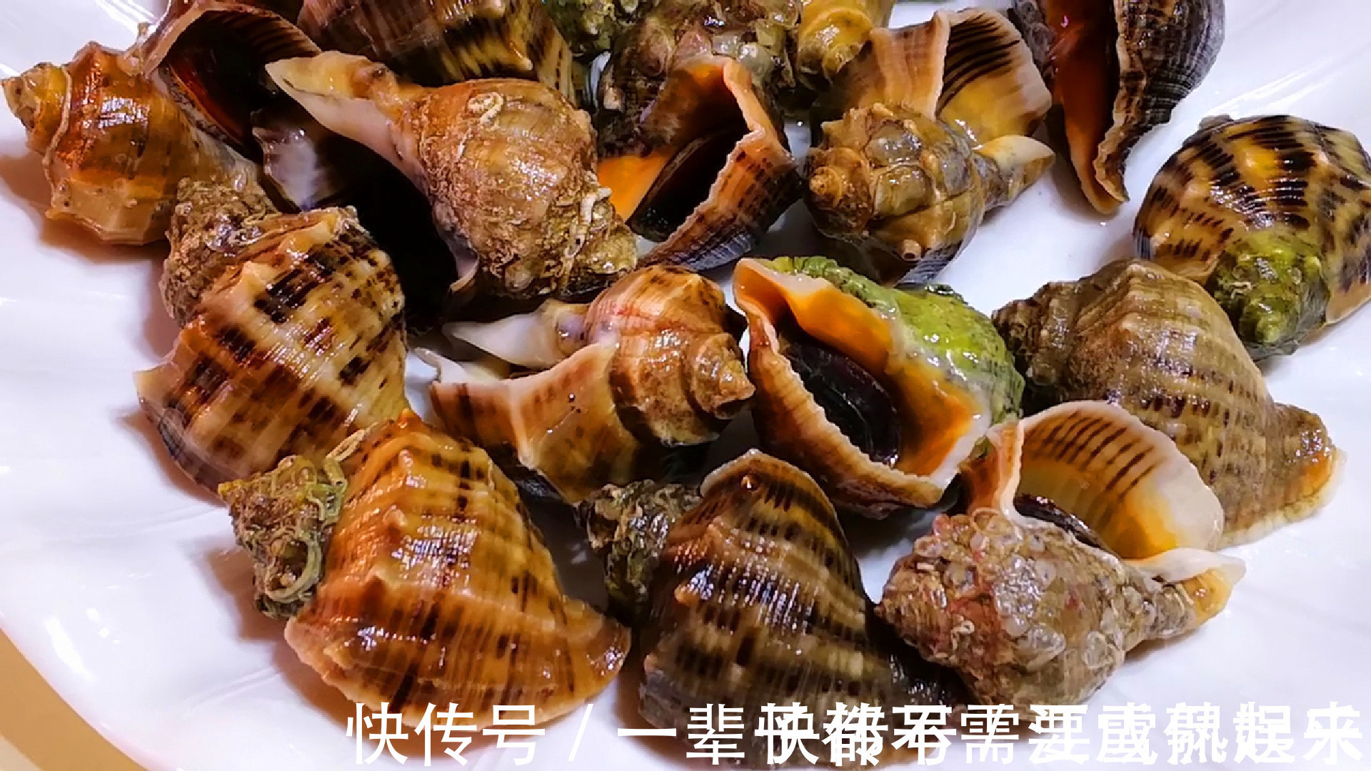 煮海螺时,用冷水还是热水以前没注意,难怪螺肉又腥又硬不好吃