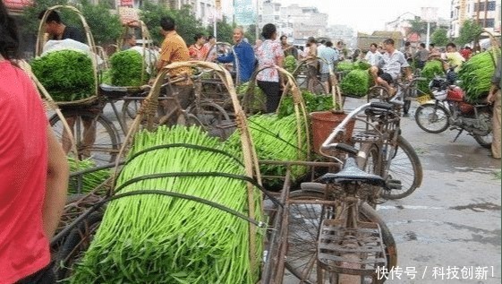 有人|这种菜在中国少有人吃,卖到美国却比肉还贵,美国人吃上了瘾