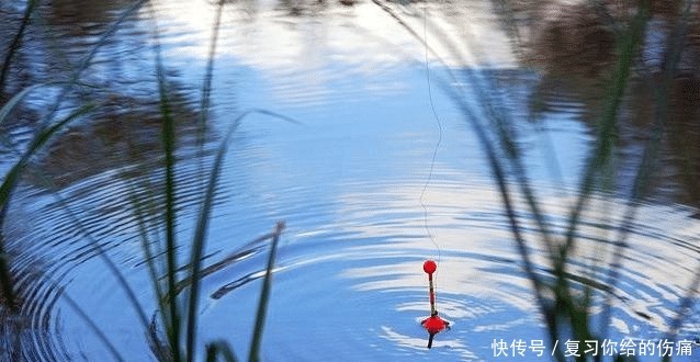 老钓手教你选择蚯蚓饵应随机应变