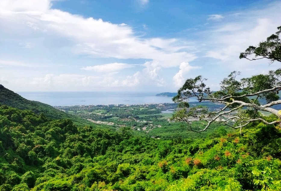 热带雨林|不一样的热带雨林，不一样的美丽风景——游亚龙湾热带天堂森林公园