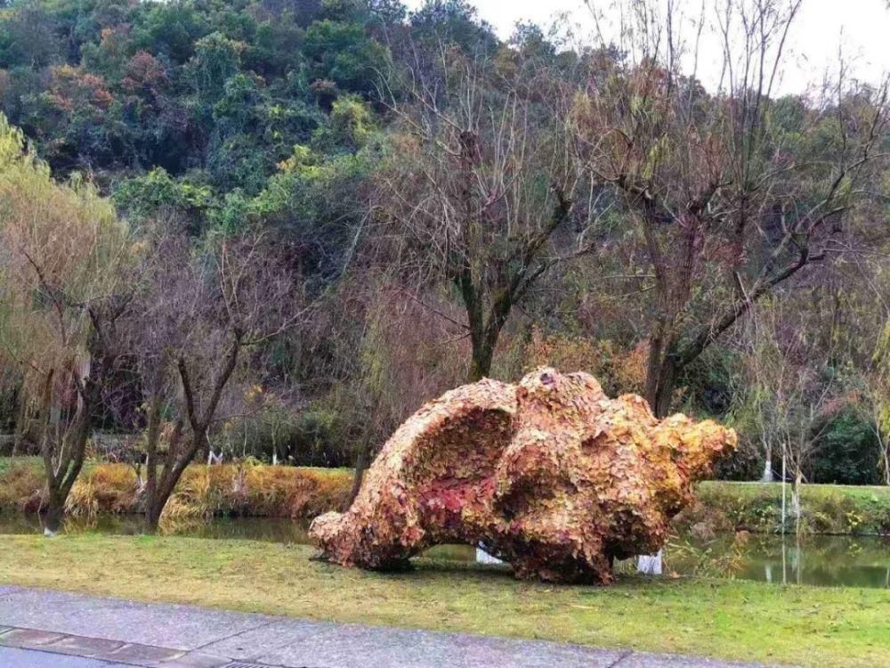  中国美院的秋叶艺术节