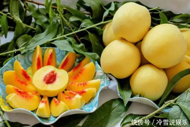 在家也能种“黄桃”,简单好养结果多,果子挂满树,又大又甜,值