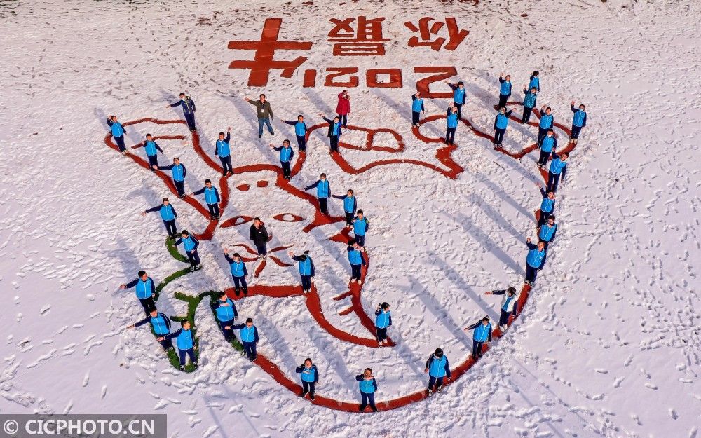 山东荣成：雪地手绘“牛气冲天”