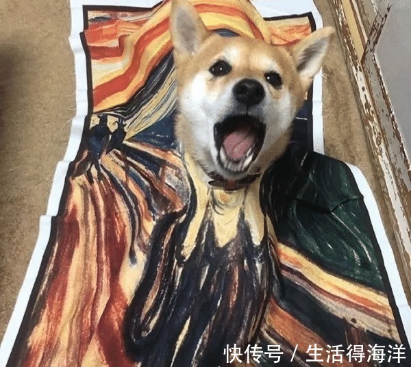 间谍|来自汪星的间谍,经常游走各种动漫本汪可塑性还是很高滴!