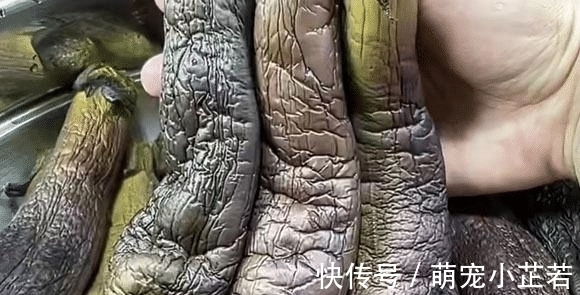 这食材正当季,不晒也不腌,蒸一蒸存到冰箱,冬季炒肉炖汤真美味