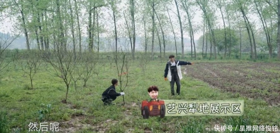 向往的生活 杨紫帮张艺兴改微博名,网友觉得这一对太好嗑,双方粉丝却掐起来