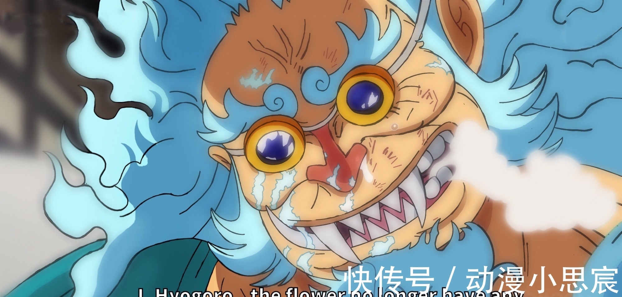 凯多|海贼王:曾经的豹五郎有多强?凯多一心想招揽,至少三灾水平