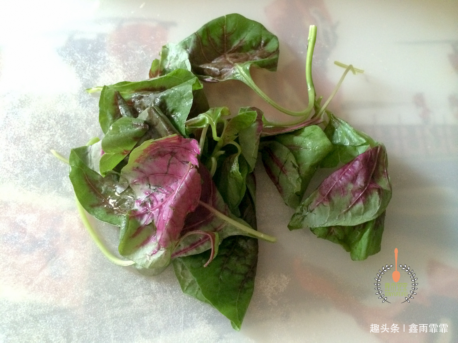 毛豆|给孩子做儿童餐,不知道是为了哄孩子吃饭,还是满足自己的童趣