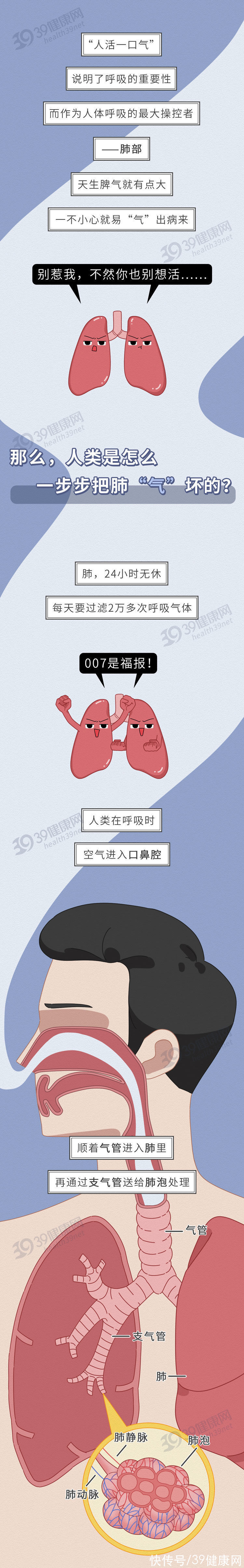 北京教育学院|中国人的肺，是如何一步步“坏”掉的？这些养肺的方法很科学