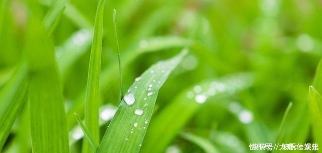 脾虚百病生脾有“三怕”,多吃“一果”,健脾祛湿一步到位