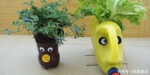 8个用塑料瓶制作的景观,有人觉得好看实用,但有人说丑爆了